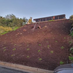 Mendoza's Landscaping