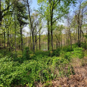 Black Hill Regional Park - Parks Near Me - Boyds, Maryland Black Hill Regional Park - Parks Near Me - Boyds, Maryland