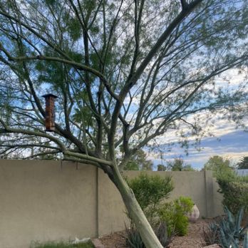 24/7 Landscape Services - Landscaping Near Me
