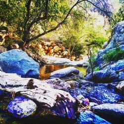 Kern River