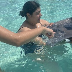 White Sand Water Sports - Meet the rays