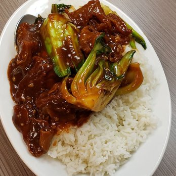 Swatow Restaurant - Beef Brisket Rice - Chinese Near Me - Toronto, Ontario