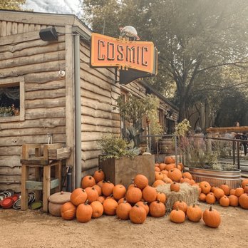 Cosmic - Pumpkin patch for the fall! - Coffee & Tea Near Me - Austin, Texas Cosmic - Pumpkin patch for the fall! - Coffee & Tea Near Me - Austin, Texas