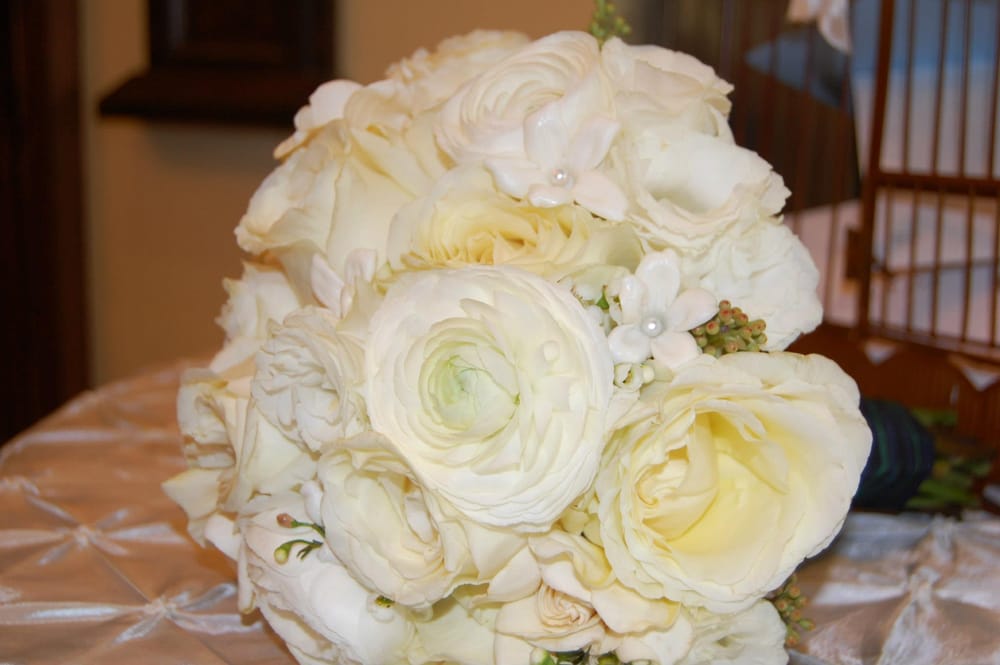 WATERLILY DESIGNS Updated June 2024 20 Photos 350 Silverside Ave