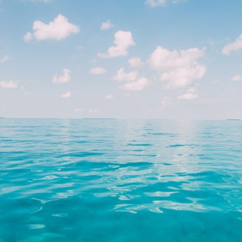 Mellow Ventures - the view! - Boating Near Me - Key West, Florida