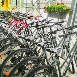 Fahrräder Bucsis