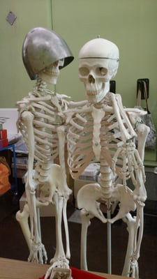 Great North Museum: Hancock by null