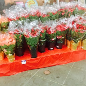 Walmart Supercenter - Love poinsettias! - Grocery Near Me - Siler City, North Carolina Walmart Supercenter - Love poinsettias! - Grocery Near Me - Siler City, North Carolina