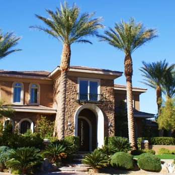 Results Services - Palm Tree Service - Landscaping Near Me Results Services - Palm Tree Service - Landscaping Near Me