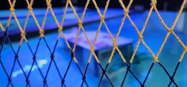 SEA LIFE Arizona Aquarium by null