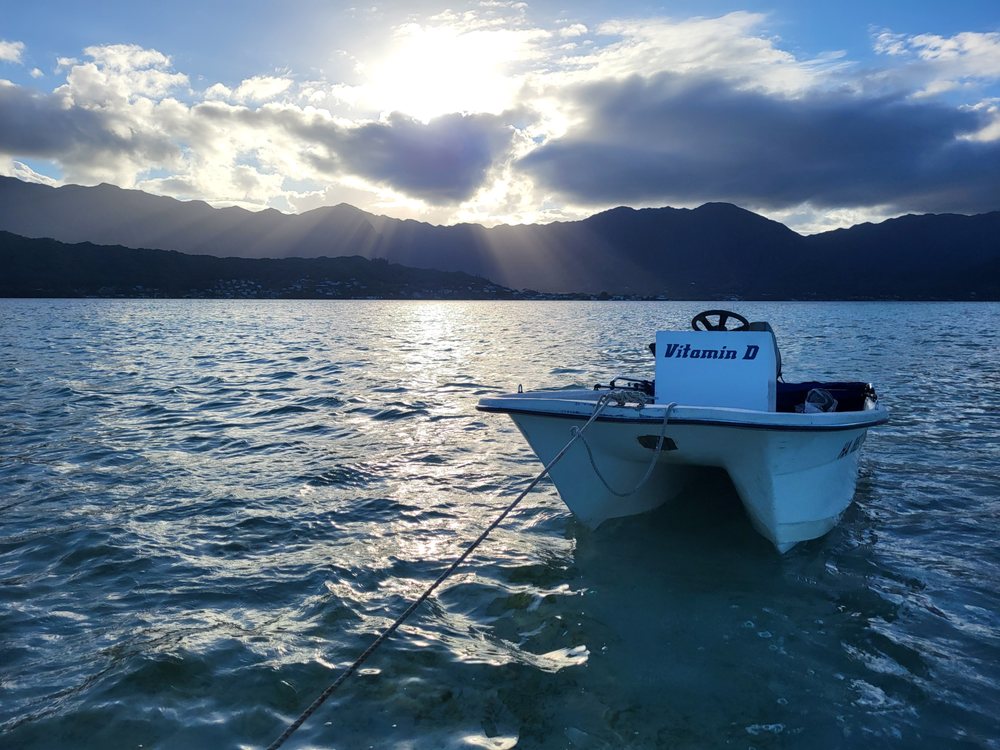 PACIFIC DIVERSIFIED FINISHES Updated September 2024 21 Photos 24 Sand Island Access Rd