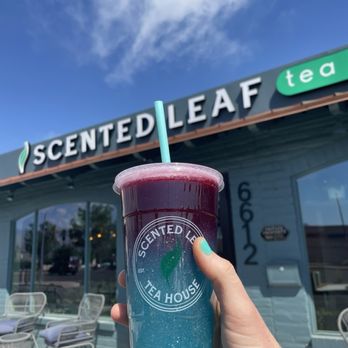 Scented Leaf Tea House - Shark attack - Coffee & Tea Near Me - Tucson, Arizona