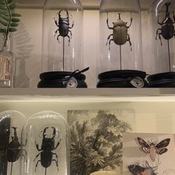 Lillie Bee Emporium  Unique Gifts & Tea