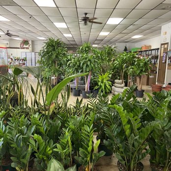 Doan's Nursery - Nurseries & Gardening Near Me - Irving, Texas Doan's Nursery - Nurseries & Gardening Near Me - Irving, Texas
