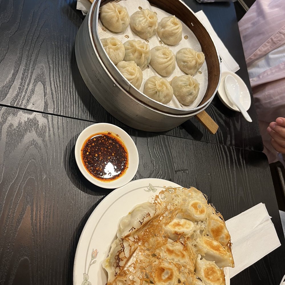Soup dumpling and fried dumplings