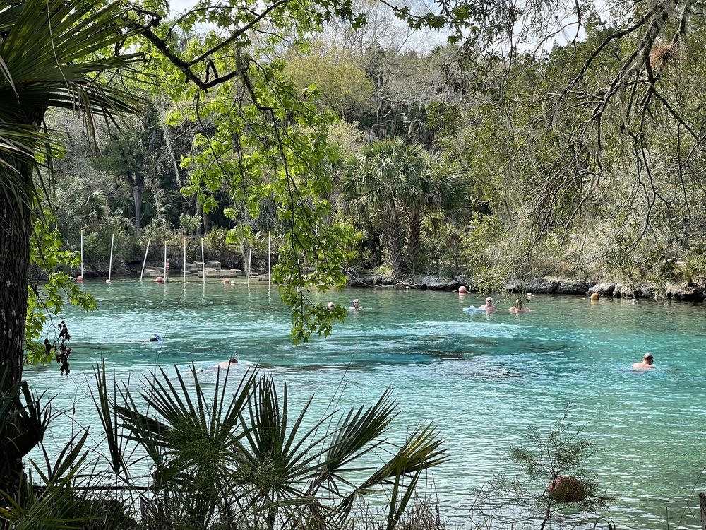 Silver Glen Springs Image