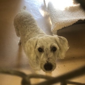 sleepy hollow boarding