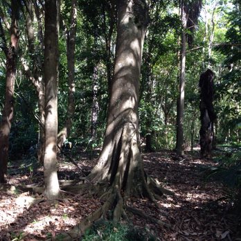 The Ginger Factory - Amusement Parks Near Me - Yandina, QLD