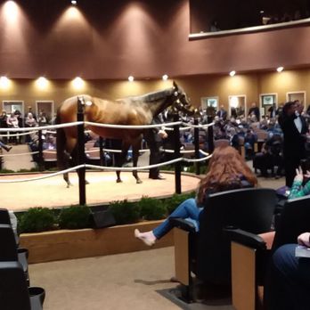Fasig-Tipton Company - Sale Topper Lady Aurelia $7.5 million - Auction Houses Near Me - Lexington, Kentucky