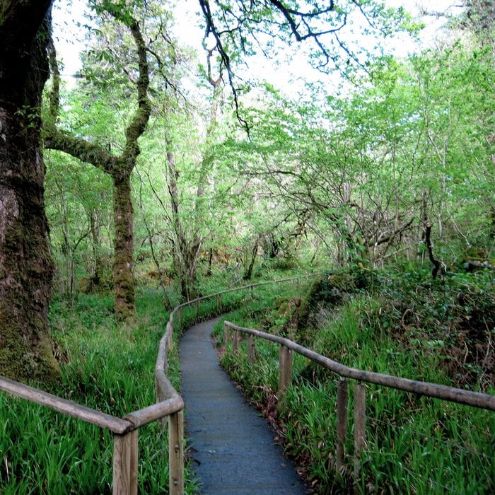 MARBLE ARCH CAVES GEOPARK Marlbank, Irvinestown, Fermanagh, United