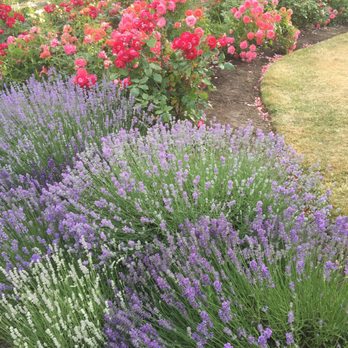 Queen Elizabeth Park - Parks Near Me - Vancouver, British Columbia