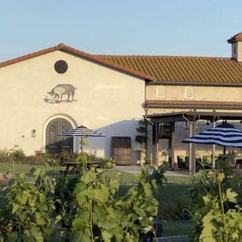Truffle Pig Winery & Vineyards - Tasting room - Wineries Near Me - Temecula, California Truffle Pig Winery & Vineyards - Tasting room - Wineries Near Me - Temecula, California