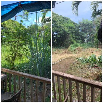 Karli’s Yard Services - Tree Services Near Me