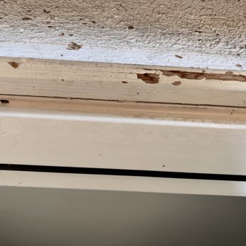 Termite Pro - Termite damage - Pest Control Near Me - Los Angeles, California Termite Pro - Termite damage - Pest Control Near Me - Los Angeles, California