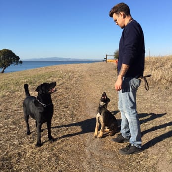 The Canine Mind - Pet Training Near Me - Salt Lake City, Utah The Canine Mind - Pet Training Near Me - Salt Lake City, Utah