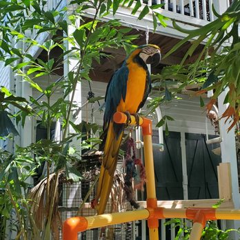 Nancy Forrester's Secret Garden - Animal Shelters Near Me - Key West, Florida