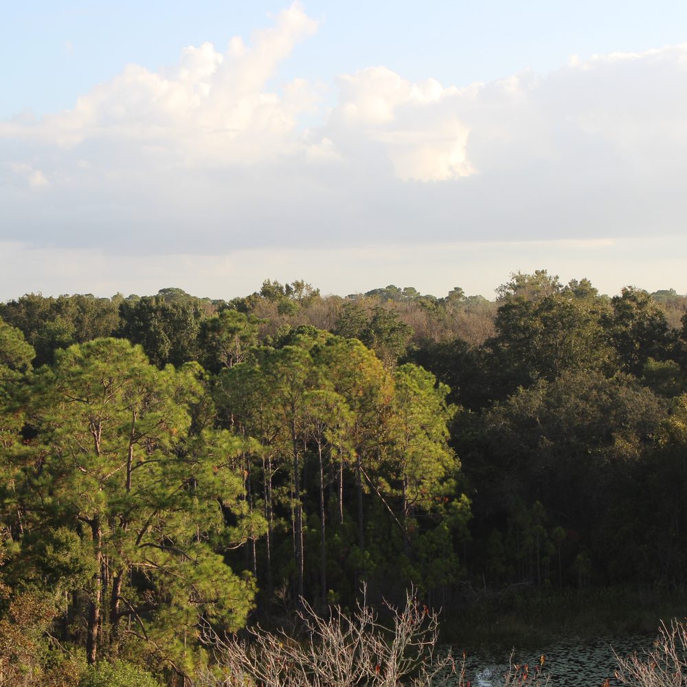 Aerostat Adventures, LLC - Hot Air Balloons Near Me - Orlando, Florida