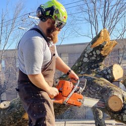 JC's Tree & Landscape Service