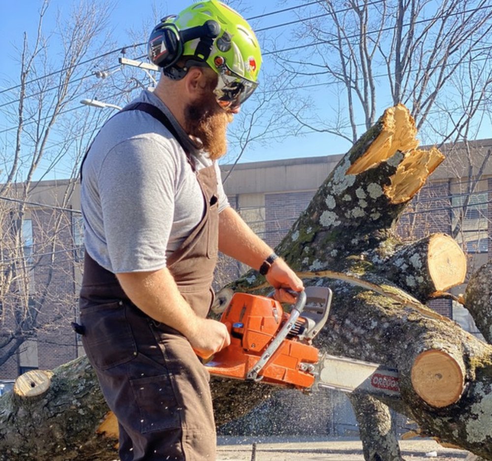 JC's Tree & Landscape Service - tree service in Knoxville, TN