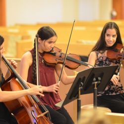 Musical Surprise - String Trio Performance at Formal Recital