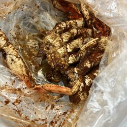 Crafty Crab - Dungeness Special