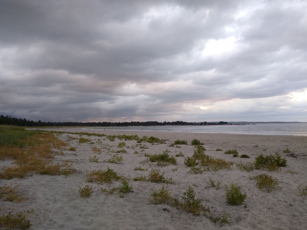 Beach Meadows Beach