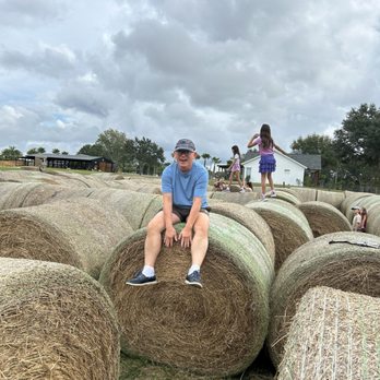 Frogmore Fields - Pick Your Own Farms Near Me - Dade City, Florida