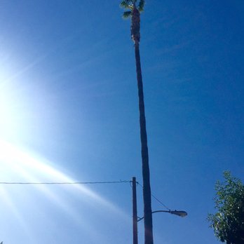 Millan Tree Service - General Contractors Near Me Millan Tree Service - General Contractors Near Me
