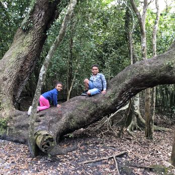 Pine Island Ridge - Parks Near Me - Davie, Florida