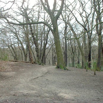 Sydenham Hill Wood - Parks Near Me - London, XGL
