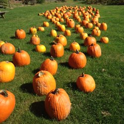 Cavage's Country Farm Market