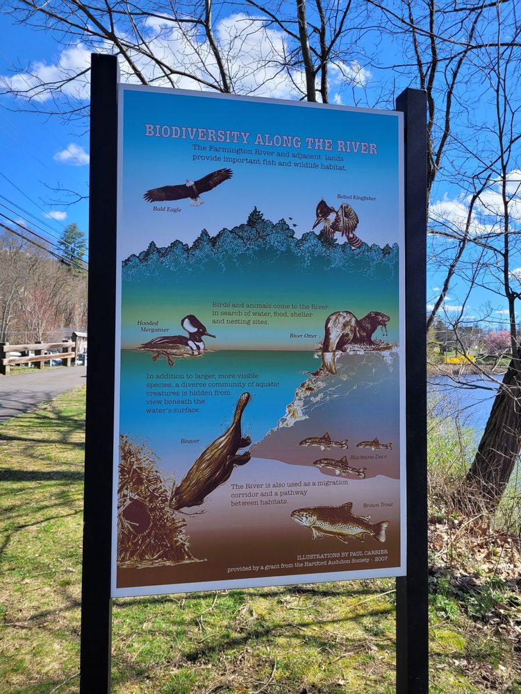 COLLINSVILLE WALKING TRAIL Updated September 2024 15 Photos 3034