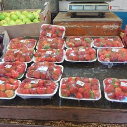 Feira Modelo - Floresta