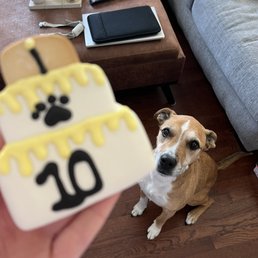 Patiently waiting for some cookies!