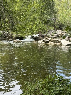 Barton Creek Greenbelt by null