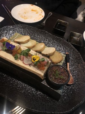 Purple Shell Boston by null