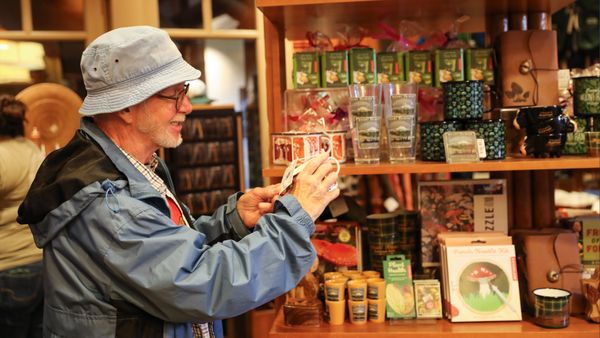 Paradise Inn by null