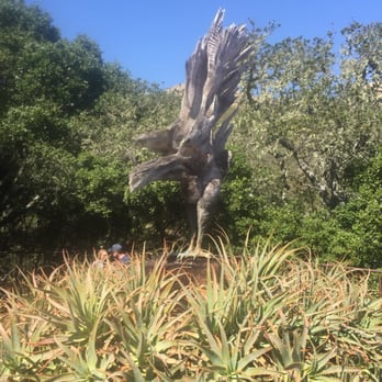 Nepenthe - Famous natural carved wood Phoenix in front. - New American Near Me - Big Sur, California Nepenthe - Famous natural carved wood Phoenix in front. - New American Near Me - Big Sur, California