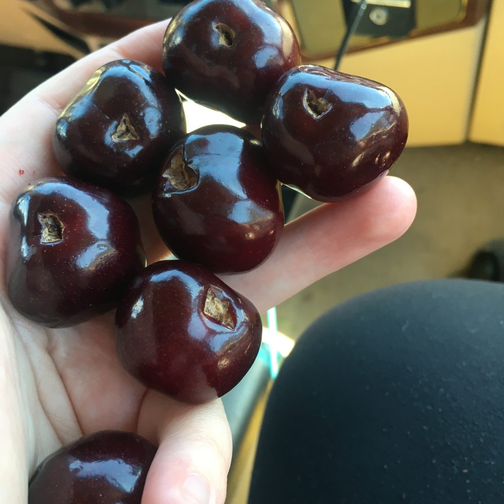 Saran Fruit Market - Bad quality cherries - Fruits & Veggies Near Me - Osoyoos, British Columbia Saran Fruit Market - Bad quality cherries - Fruits & Veggies Near Me - Osoyoos, British Columbia