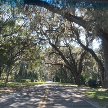 Bluefield Estate Winery - a road lined with trees - Wineries Near Me - Gainesville, Florida Bluefield Estate Winery - a road lined with trees - Wineries Near Me - Gainesville, Florida